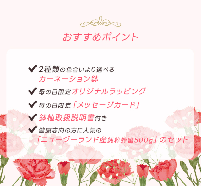 5/6迄早期割引5% +ポイント5倍 母の日ギフト【送料無料 ☆本州限定
