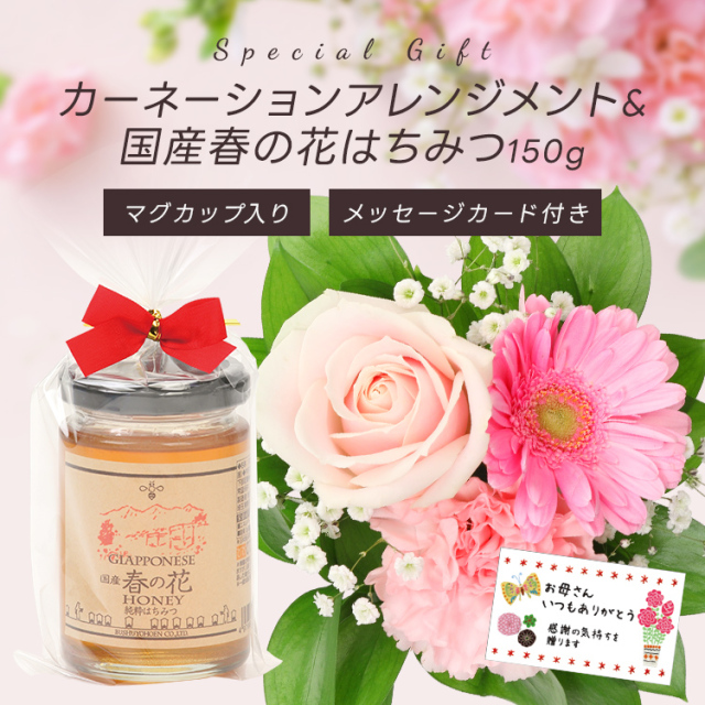 3/31迄早期割引10%  母の日ギフト【送料無料★本州限定】マグカップ入りカーネーションアレンジメント&国産春の花はちみつ150g メッセージカード ご注文受付期間は5月7日12:00まで！