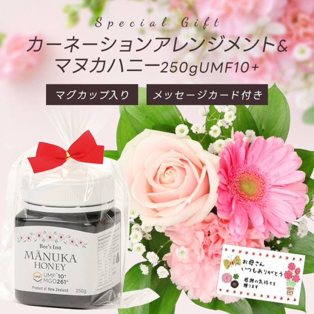 3/31迄早期割引10% 母の日ギフト【送料無料★本州限定】マグカップ入りカーネーションアレンジメント&マヌカハニー250g UMF10＋  3メッセージカード  ご注文受付期間は5月7日12:00まで！