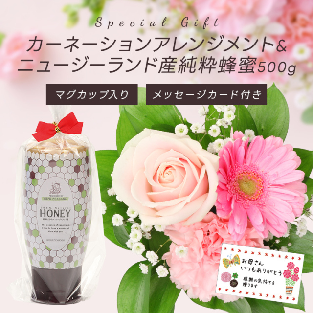 3/31迄早期割引10%off 母の日ギフト【送料無料★本州限定】マグカップ入りカーネーションアレンジメント&ニュージーランド産純粋蜂蜜500g  メッセージカード 付  ご注文受付期間は5月7日12:00まで！