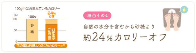 ランディング用