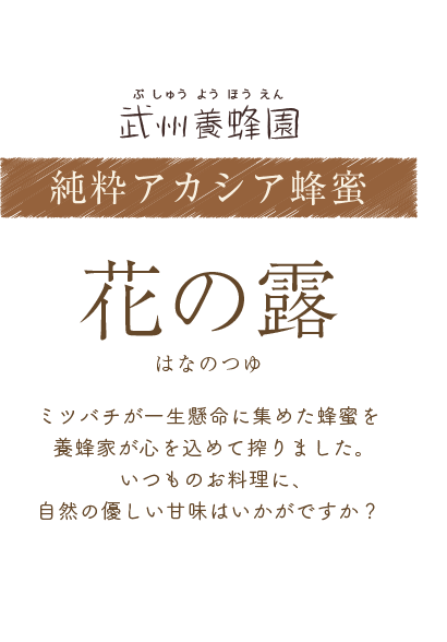 ランディング用