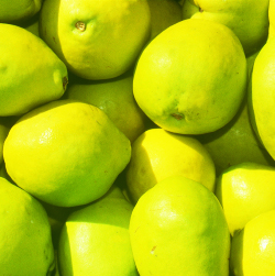 ハニードリンク 果実漬はちみつ かりん 550g 2本以上3本で10 4本以上で15 引き 武州養蜂園