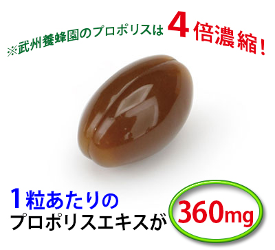 粒状プロポリス 100粒 送料無料