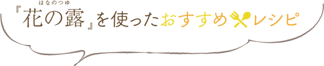 ランディング用