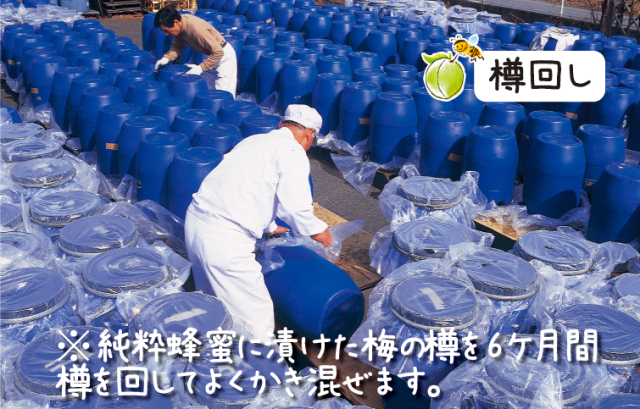 梅の産地、埼玉県寄居中間平