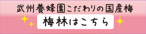 国産梅梅林はこちら