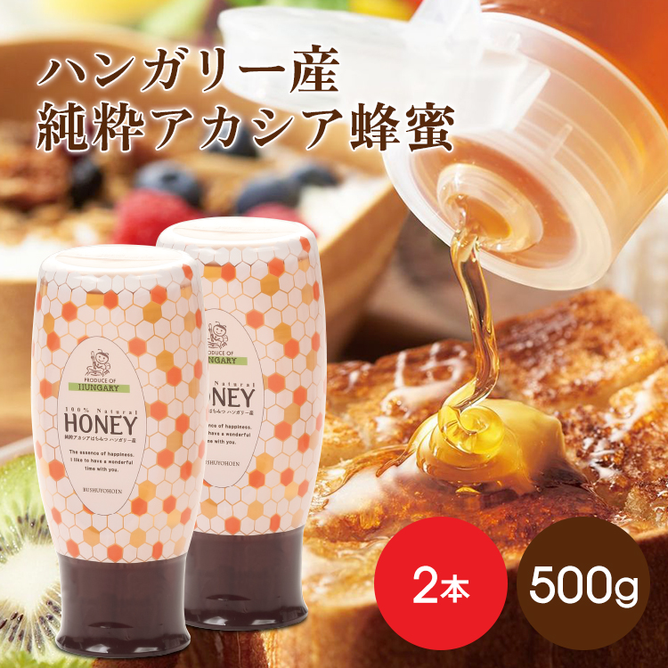 ハンガリー産 純粋アカシア蜂蜜500gスタンドボトル×2本  　★期間限定送料無料