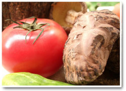 ちゃより（大）　100g