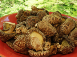 武州屋の干し椎茸　大型どんこ