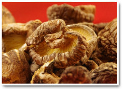 そばつゆの作り方 武州屋のおためし椎茸