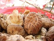お香典返し 中型どんこ