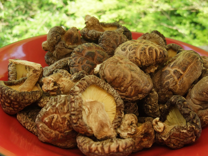 武州屋の干し椎茸　大型どんこ