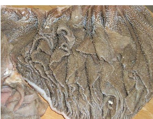 九州産牛ホルモン・千枚 200g