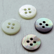 【本貝ボタン】THE SHELL 2（2572）