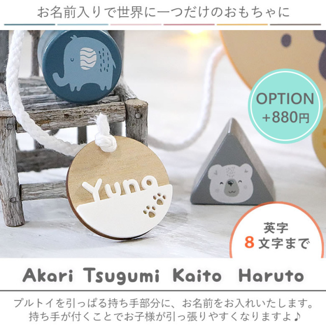 出産祝い１歳誕生日 ポーラービー Polarb 名前入りソーティングプルトイ はりねずみ