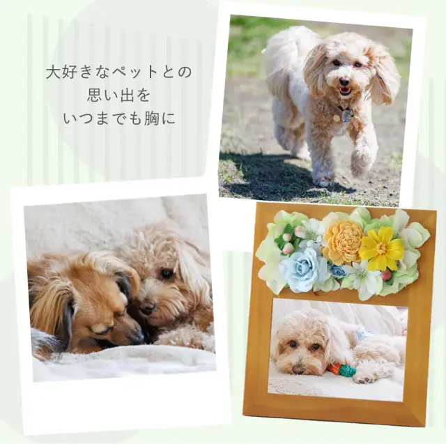 プリザーブドフラワー プレシャスメモリーズ