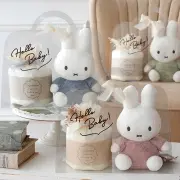 【出産祝い】ミッフィー クリアバッグギフトセット ぬいぐるみ+おむつケーキ　