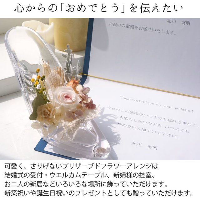 ガラスの靴様専用 （そら様専用 シンデレラ ガラスの靴 マスター