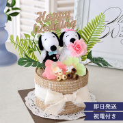 【結婚式 電報 ギフト】スヌーピー　トロピカルウェディングケーキ