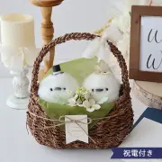 500　カートメイン