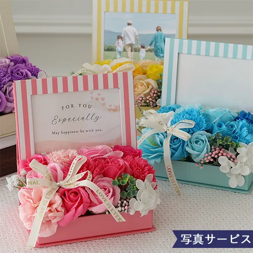 500　カートメイン