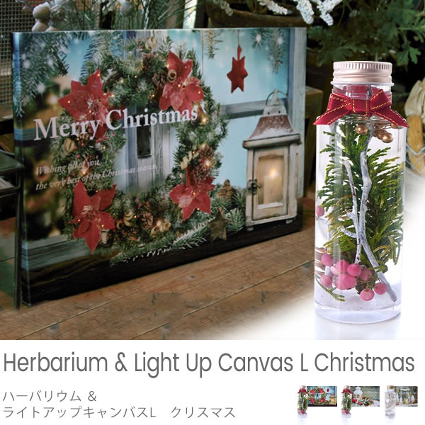 ハーバリウム&ライトアップキャンバス L クリスマス