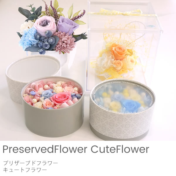 プリザーブドフラワー　キュートフラワー