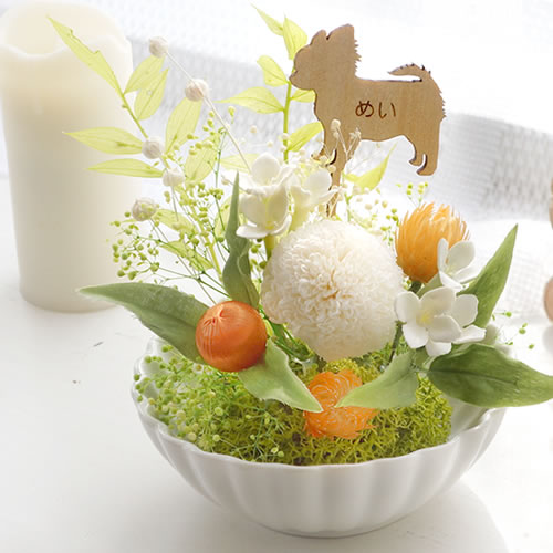 プリザーブドフラワー ペットお供え花 メモリーwith　