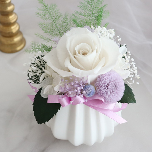 ほんわか全開幼なじみ 涼花 4枚セット プリザーブドフラワー 仏花 お供え花 涼香（すずか）