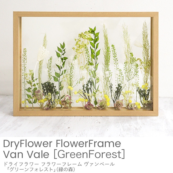ドライフラワーフラワーフレーム ヴァンベール「Green Forest」（緑の