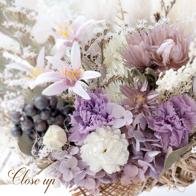 デザイナーズコレクション NO.67 Close up