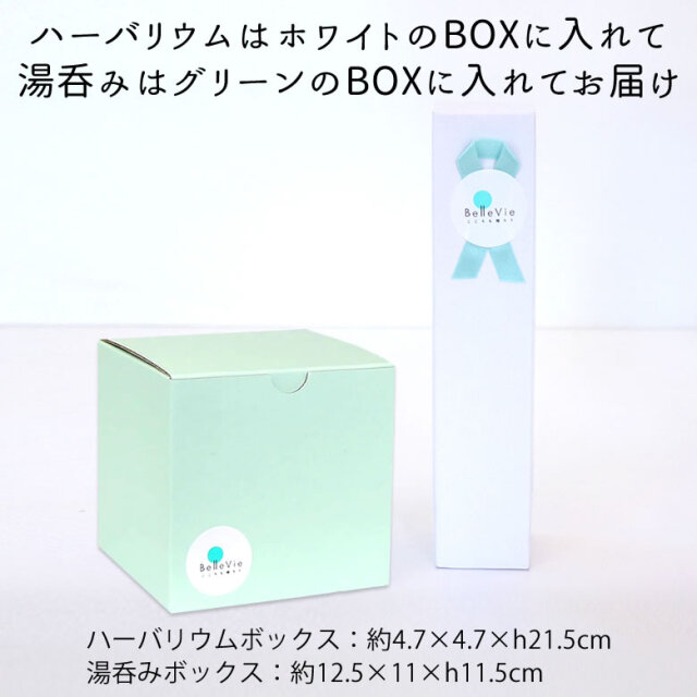 ハーバリウム蘭+花湯呑みセット