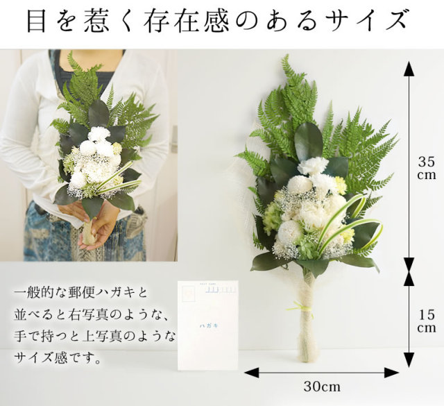 中国 蛙輪花鉢（洗筆）　u6230831 中国 蛙輪花鉢（洗筆） u6230831