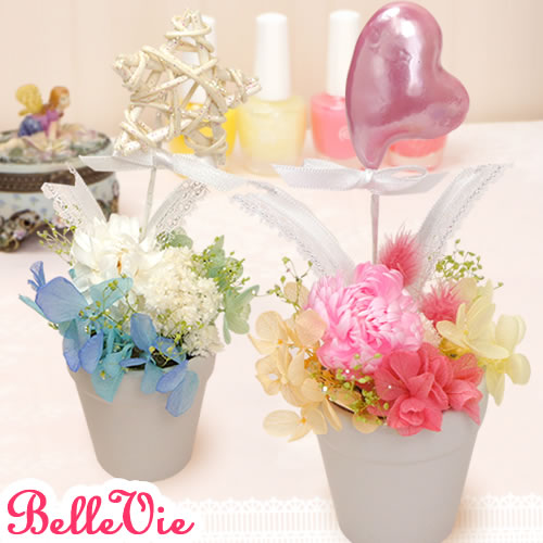 プリザーブドフラワー　ラララ☆マジカル