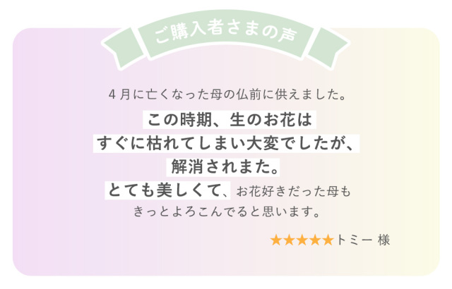 お客様の声紹介　レビュー