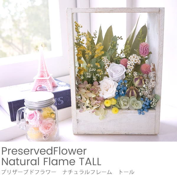 プリザーブドフラワー ナチュラルフレーム トール ベルビーフルール