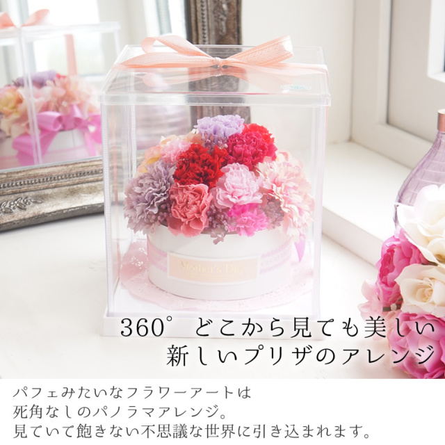 プリザーブドフラワー フラワーケーキ カーネタイプ ベルビーフルール