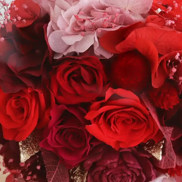 プリザーブドフラワー Fionaルージュ