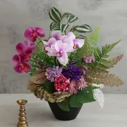 500　カートメイン