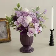 500　カートメイン