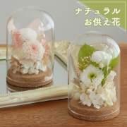 プリザーブドフラワー お供え花 ガラスドーム ナチュラルマム