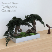 デザイナーズコレクション NO.84