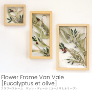 フラワーフレーム ドライフラワー ヴァン・ヴェール（ユーカリとオリーブ）