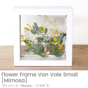 ドライフラワー フラワーフレーム ヴァンベール「Mimosa」（ミモザ）S