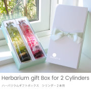 オプション　ハーバリウムギフトボックス　シリンダー２本用 ※単品購入不可※