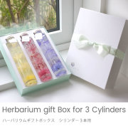 オプション　ハーバリウムギフトボックス　シリンダー３本用 ※単品購入不可※