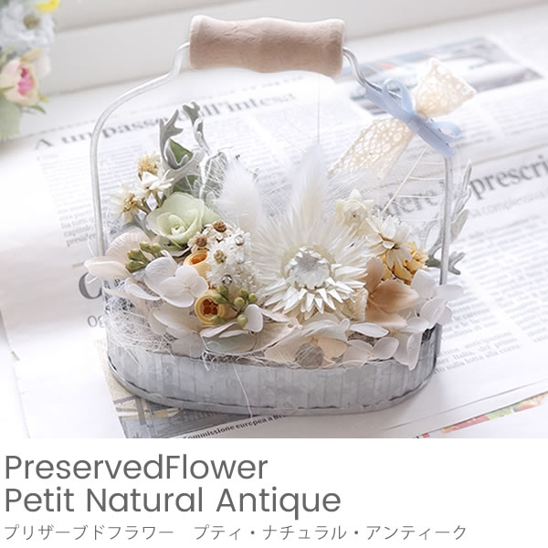 プリザーブドフラワー　プティ・ナチュラル・アンティーク