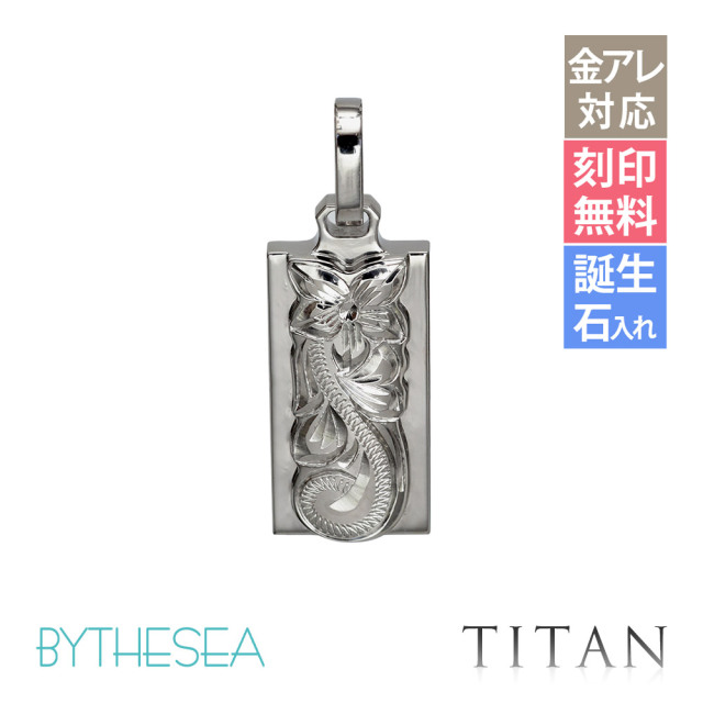 ハワイアンジュエリー 純チタン ダブルプレート ペンダントトップ(チェーン別売) TIP310