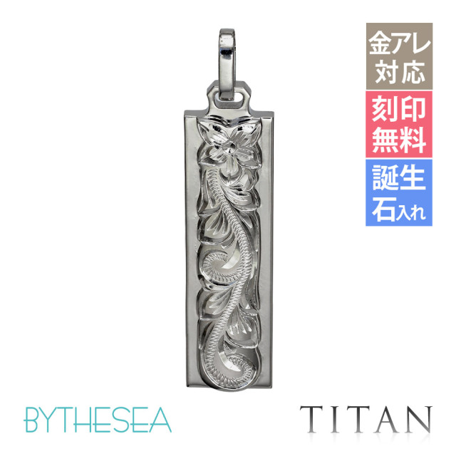ハワイアンジュエリー 純チタン ダブルプレート ペンダントトップ(チェーン別売) TIP311